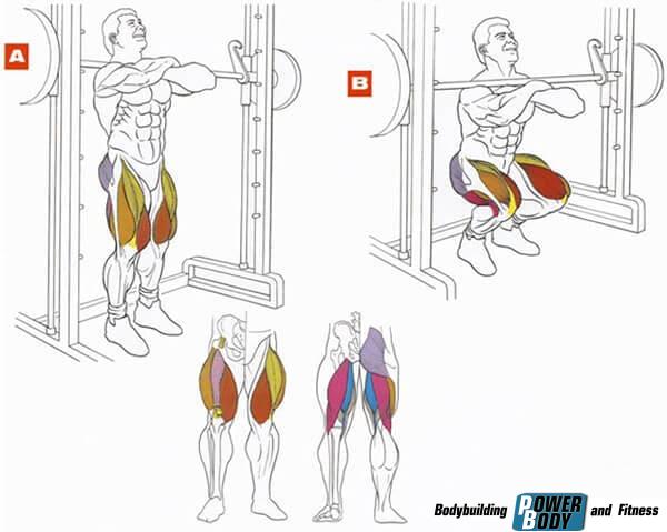 фронтальный присед мышцы